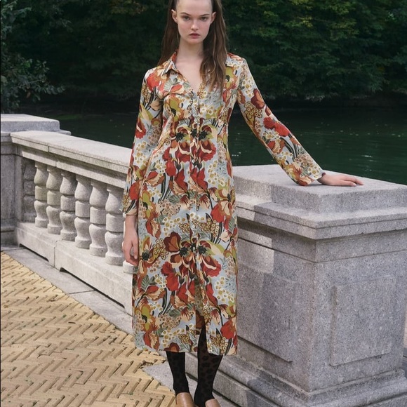 Zara Satin Effect Print Dress - Picture 2 of 7